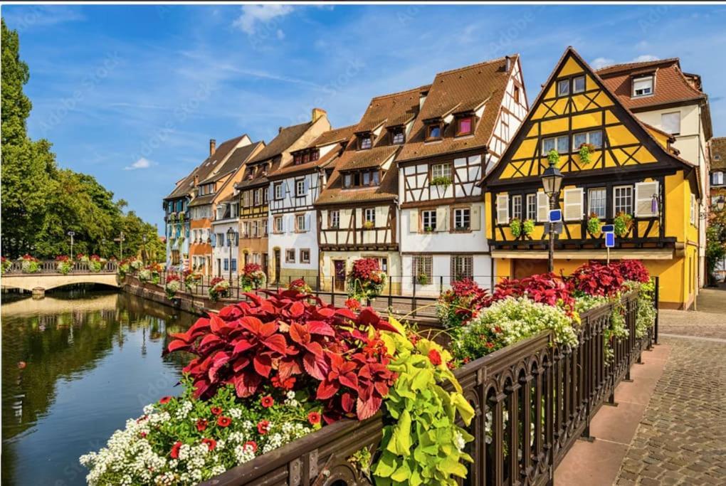 Appartement Centre - Le Schickele *